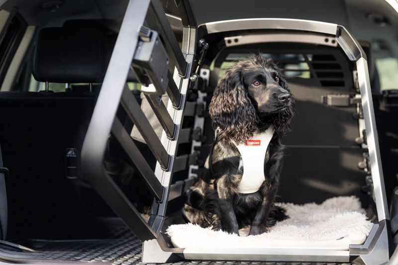 Fler väljer krocktestad bur till hunden