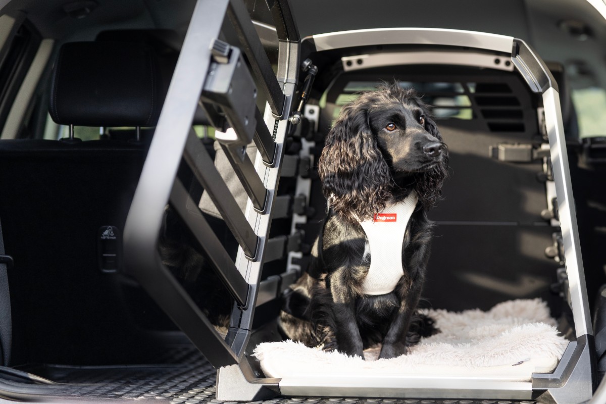Fler väljer krocktestad bur till hunden