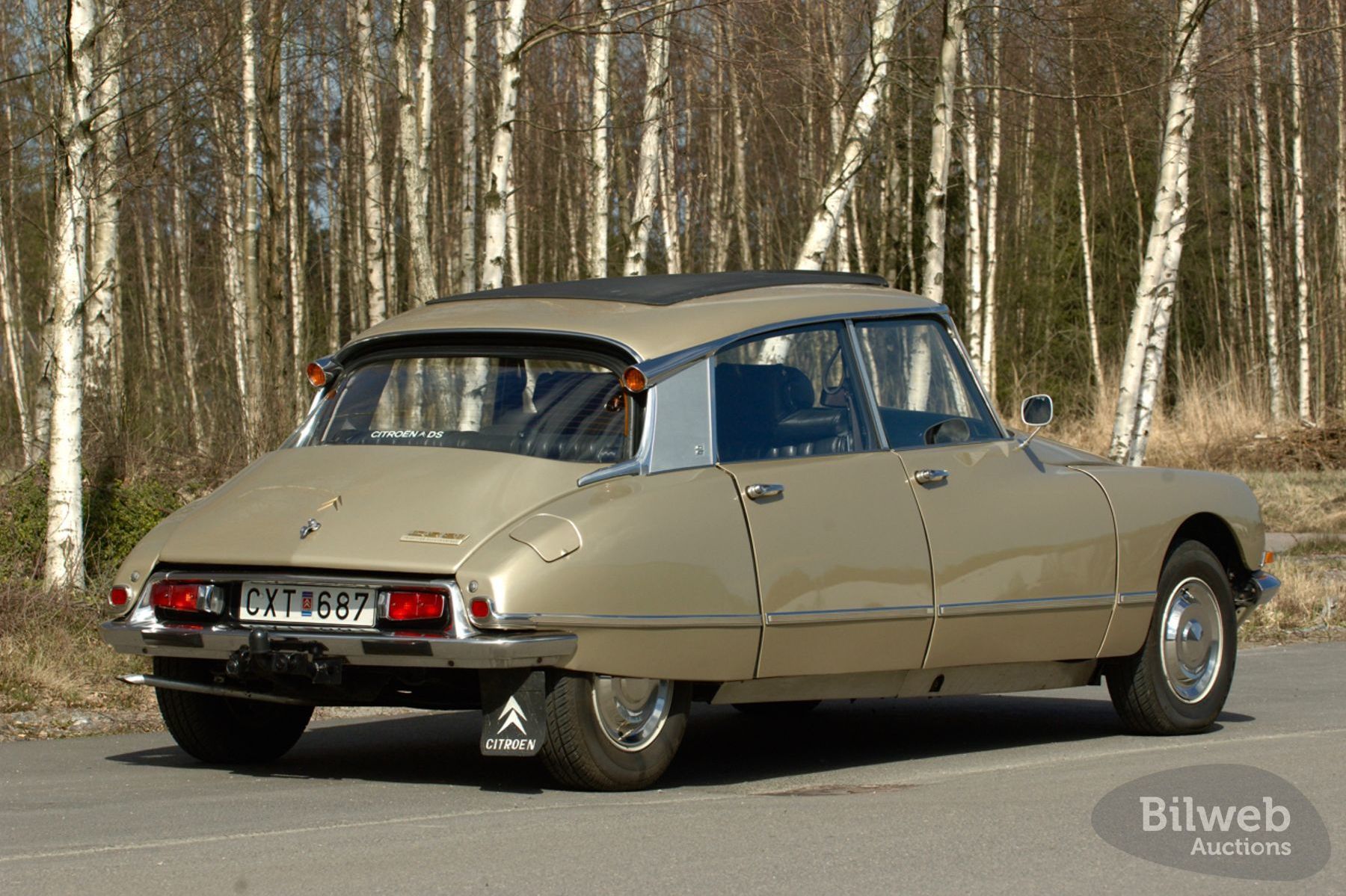 Citroën DS firar 70 år med 200 bilar i Paris