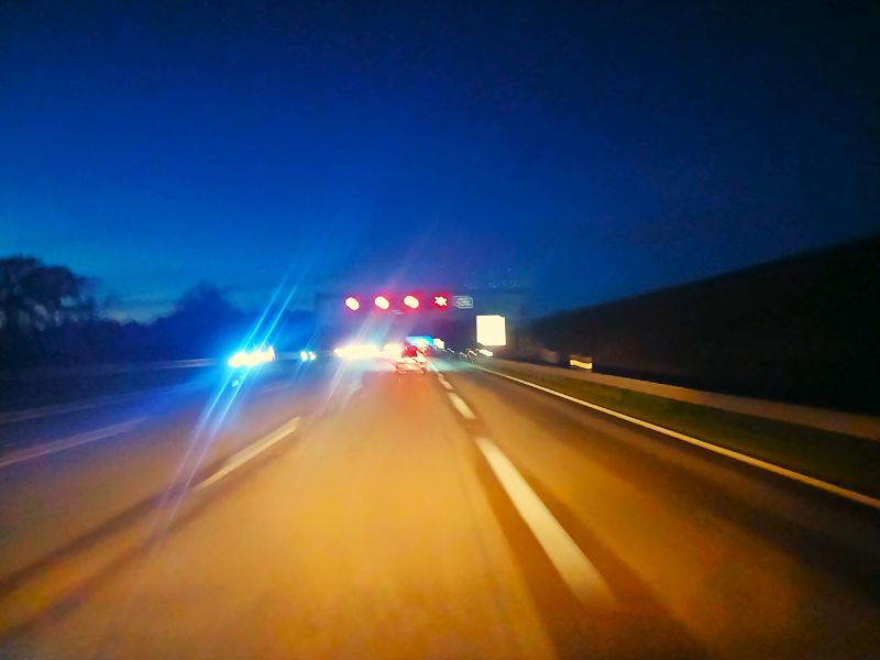 Andra bilister skrämmer svenskarna mer än älgar