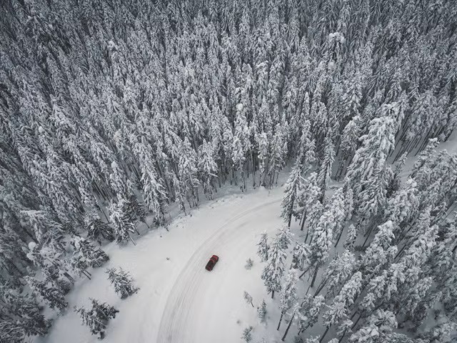 Var tionde väljer okända lågprisdäck