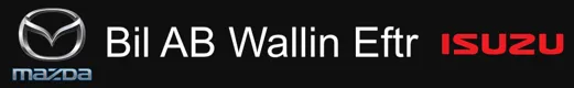 Bil AB Wallin Eftr.