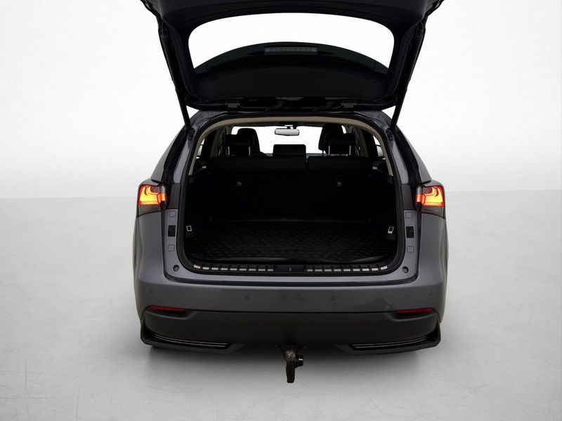 Lexus NX bild 31