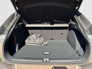 Cupra Terramar bild 8