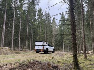 Ford Ranger bild 10