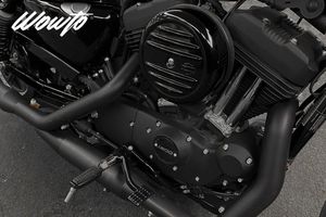 Harley-Davidson Sportster bild 12