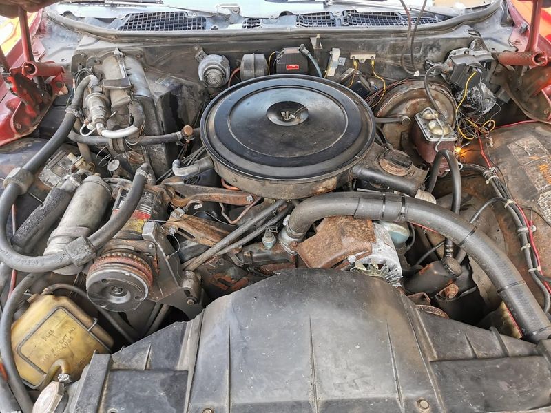 Pontiac Catalina bild 7
