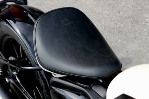 CFMOTO 450 CL-C bild 13