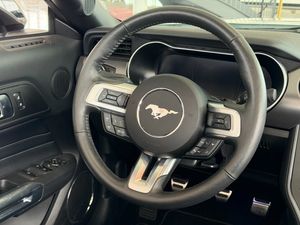 Ford Mustang bild 14