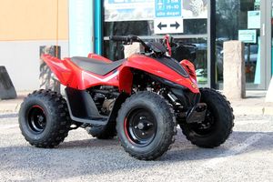 CFMOTO C-Force bild 1