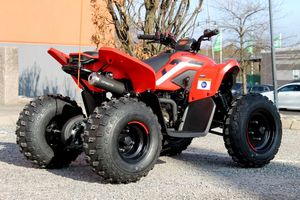 CFMOTO C-Force bild 3