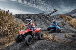 CFMOTO C-Force bild 15