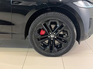 Jaguar F-Pace bild 8