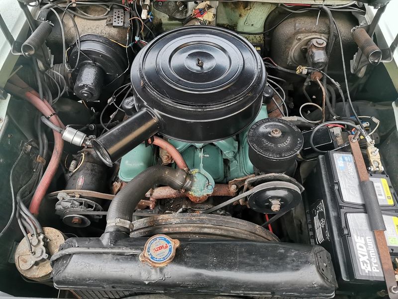 Buick Special bild 14