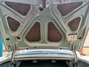 Buick Special bild 5