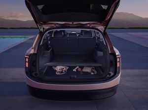 Skoda Peaq bild 7