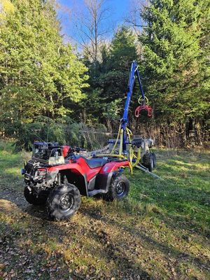 Honda RUBICON bild 2