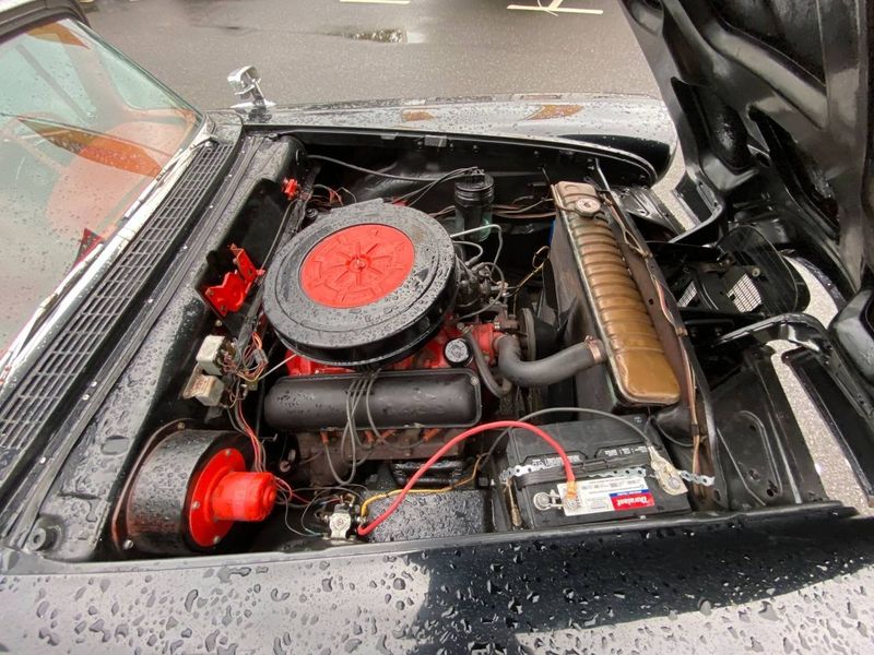 Edsel Pacer bild 17