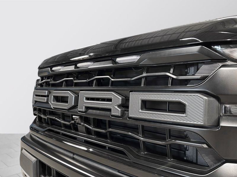 Ford F-150 bild 29