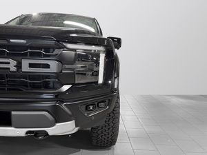 Ford F-150 bild 8