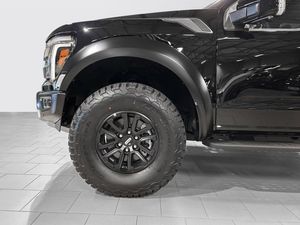 Ford F-150 bild 9