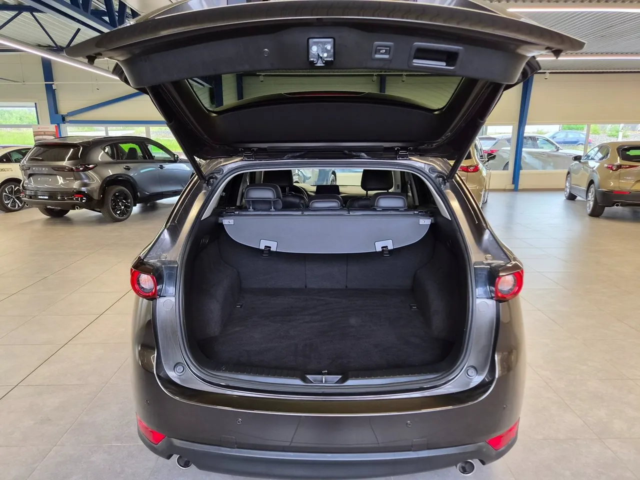 Vehicle image 12