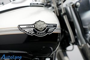 Harley-Davidson Heritage Softail Classic bild 21
