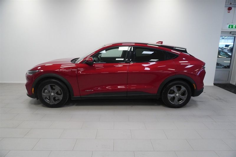 Ford Mustang Mach-E bild 3