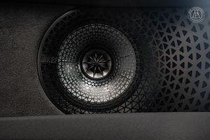 Lotus Emeya bild 12