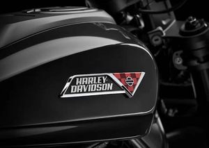 Harley-Davidson Sportster S bild 8