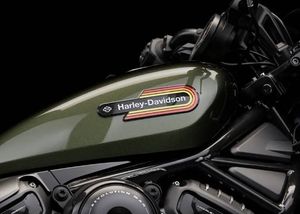 Harley-Davidson Nightster Special bild 4