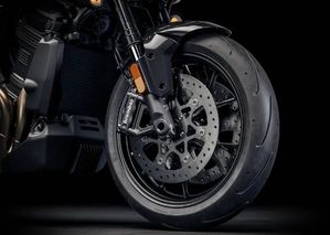 Harley-Davidson Pan America bild 8