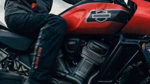 Harley-Davidson Pan America bild 4