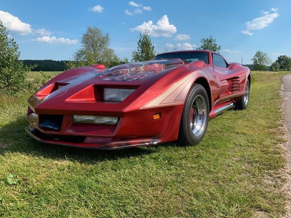 Chevrolet Corvette Stingray Greenwood Can Am Custom V8 1969 Extrem Unik - 1969