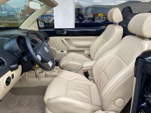 Volkswagen Beetle bild 11