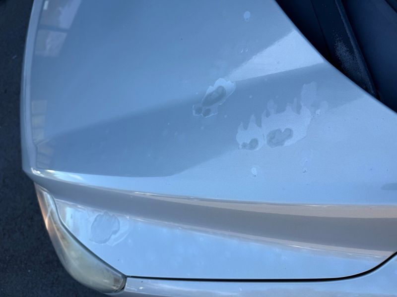 Ford Focus bild 8