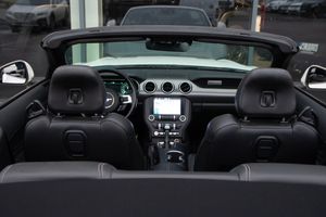 Ford Mustang bild 13
