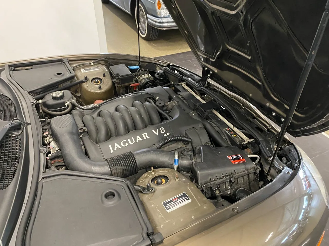 Vehicle image 11
