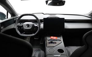 Lotus Emeya bild 2