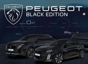 Peugeot 3008 bild 2