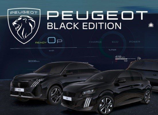 Peugeot 3008 bild 2