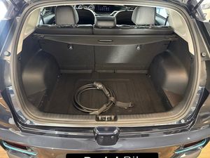 Kia e-Niro bild 14