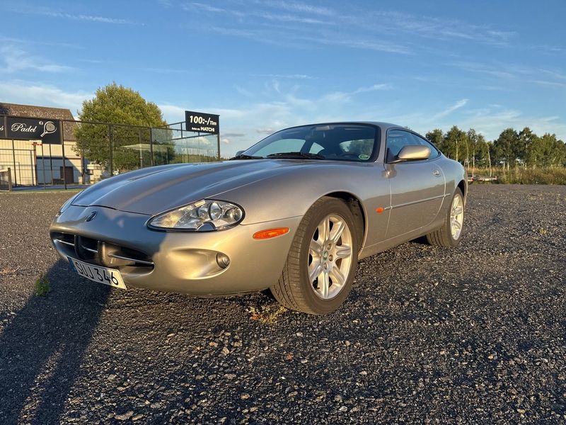Jaguar XK bild 11