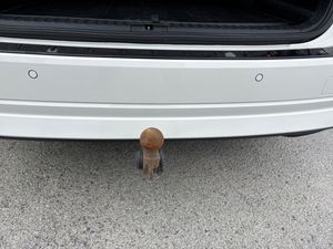 Skoda Octavia bild 14
