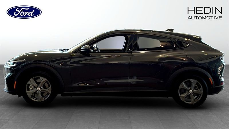 Ford Mustang Mach-E bild 6