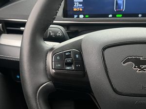 Ford Mustang Mach-E bild 19