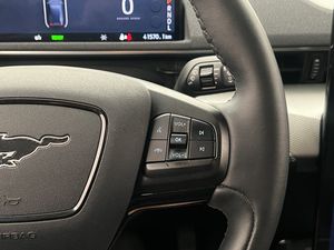 Ford Mustang Mach-E bild 20
