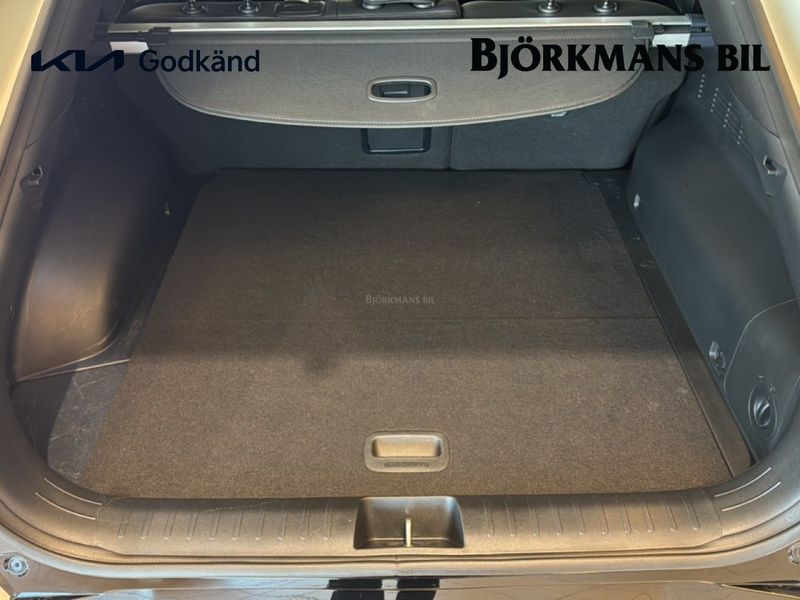 Kia EV6 bild 14