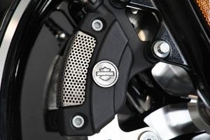 Harley-Davidson Road Glide bild 14