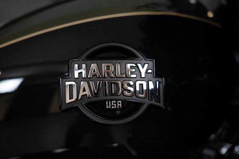 Harley-Davidson Road Glide Limited bild 11